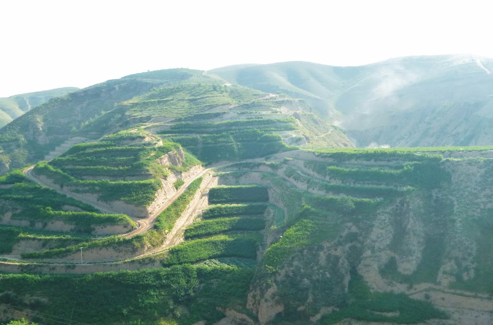 西北五配套生態(tài)農(nóng)業(yè)模式